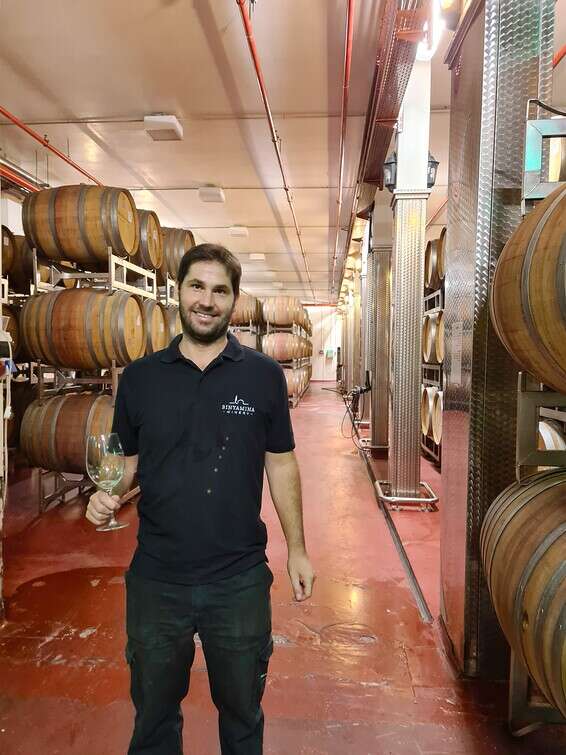 יונתן שוטס, היינן הראשי